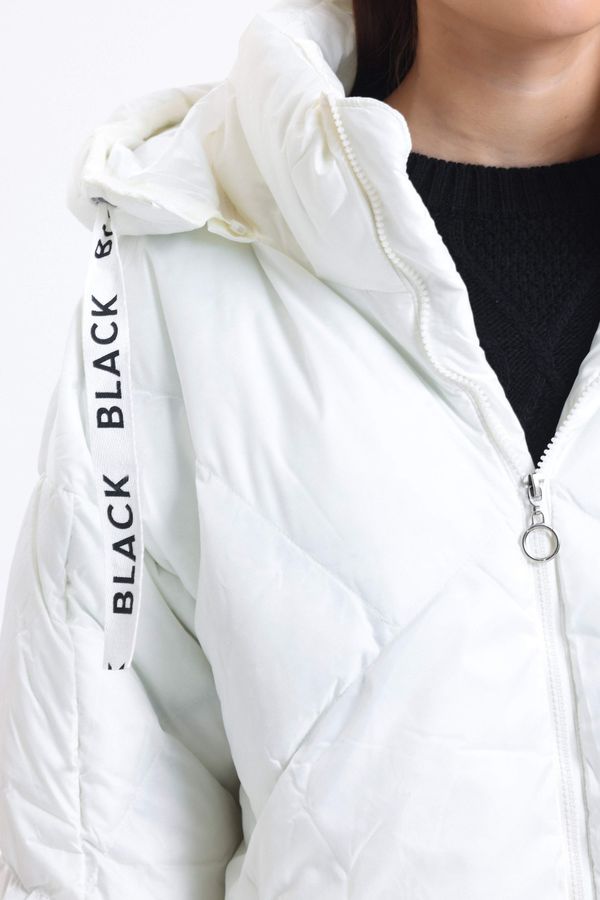 Stand Collar Hooded Drawstring Puffer Jacket 4