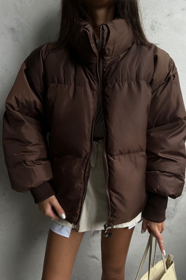 Stand Collar Oversized Puffer Jacket 1
