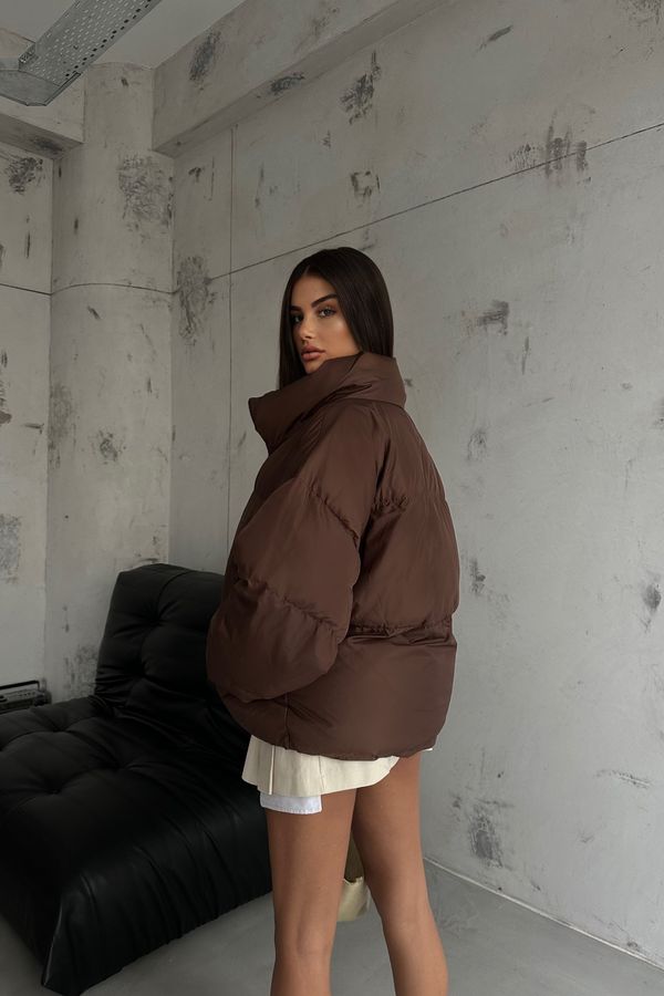 Stand Collar Oversized Puffer Jacket 3