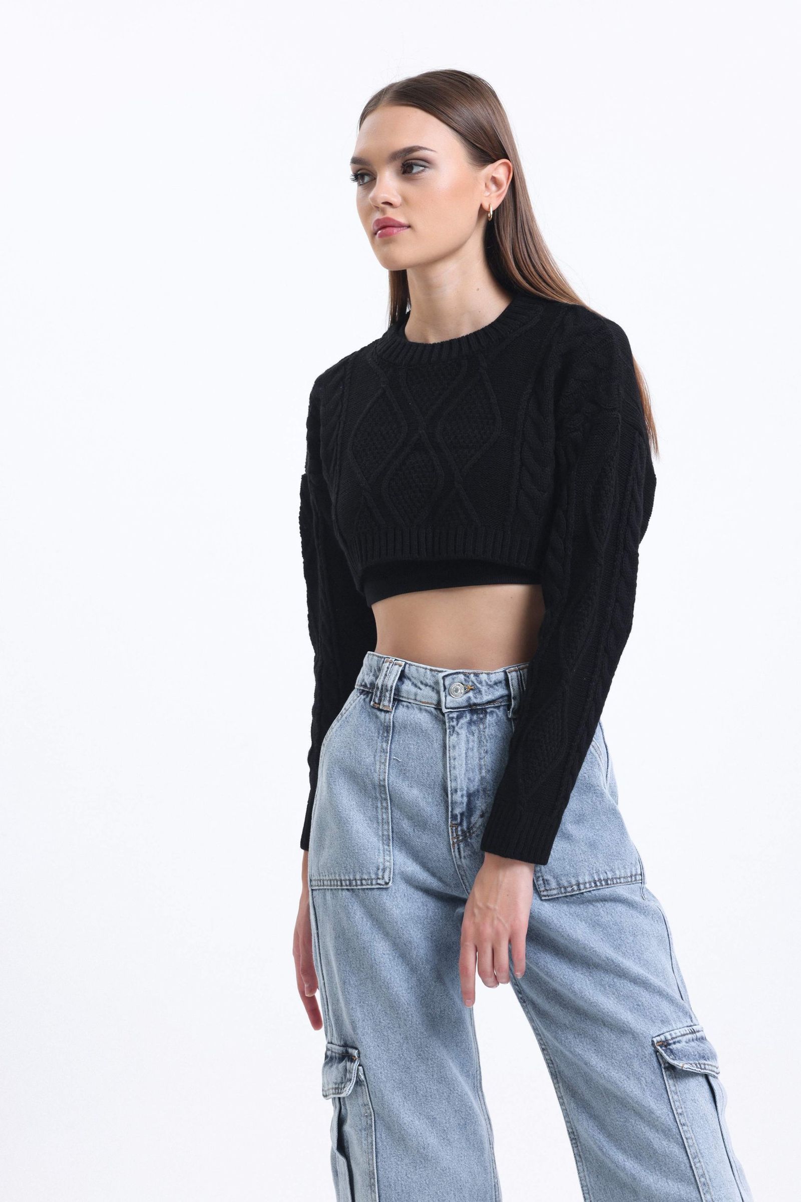 Cable Knitted Solid Crew Neck Cropped Sweater