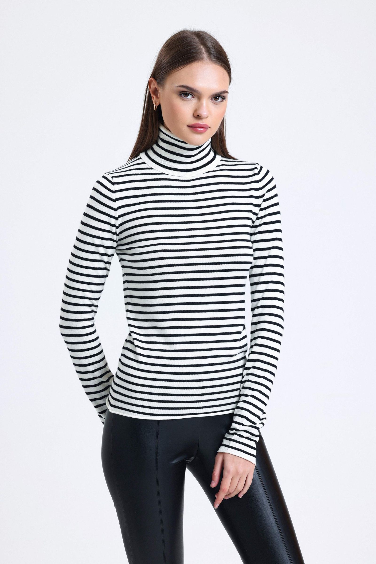 Striped High Neck Sweater