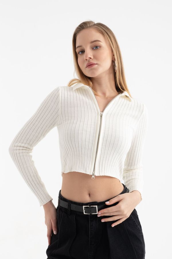 Polo Collar Ribbed Zippered Cropped Cardigan 1