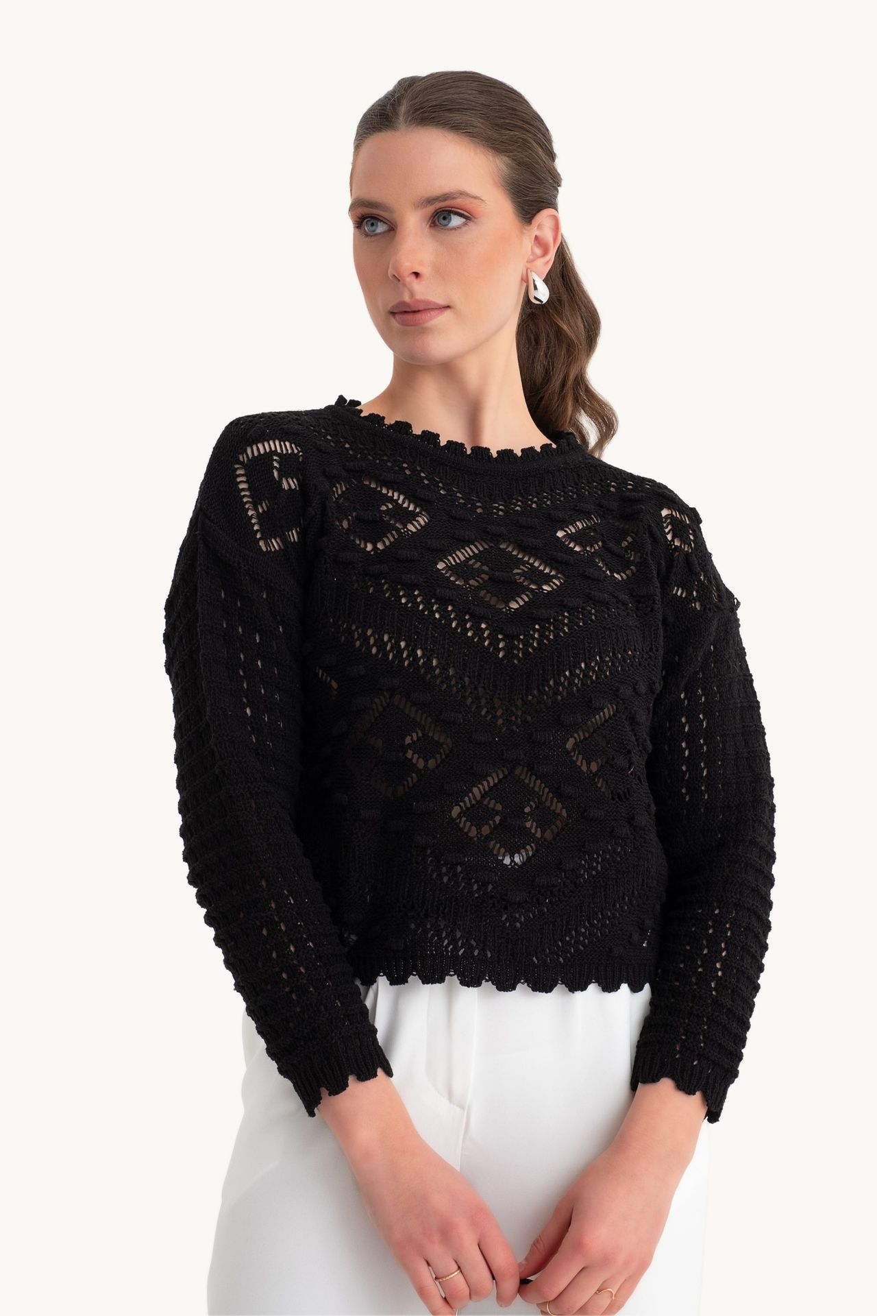 Knitted Crochet Crew Neck Sweater