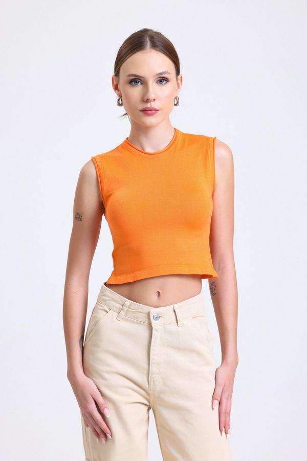 Round Neck Knitted Ribbed Crop Top with a Neck Detail 1