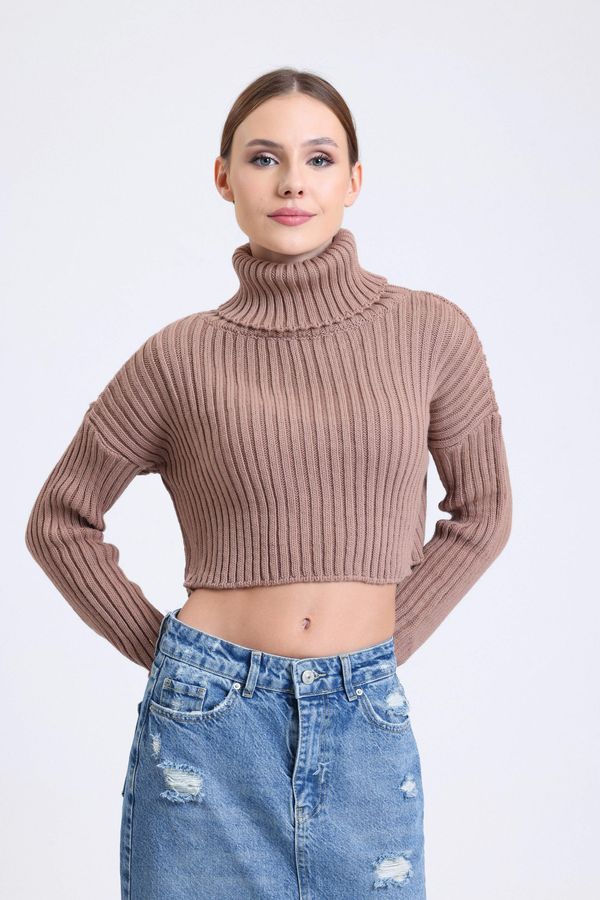Turtleneck Ribbed Cropped Sweater 1