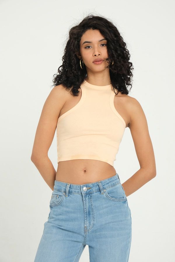 Halter Neck Ribbed Basic Crop Top 1