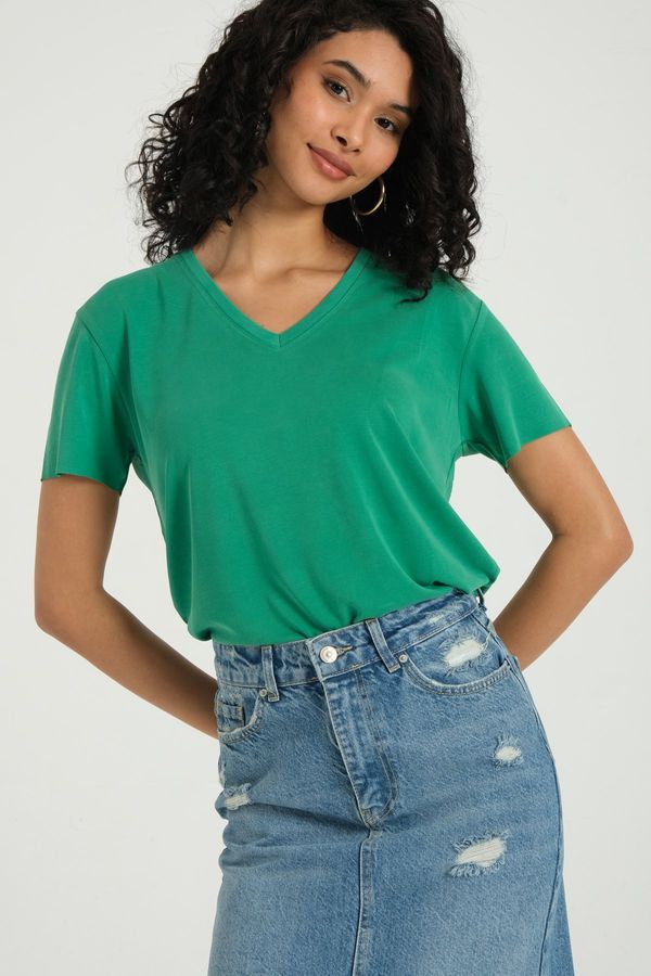 V Neck Basic T-shirt 3