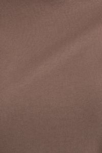 camel-image-4