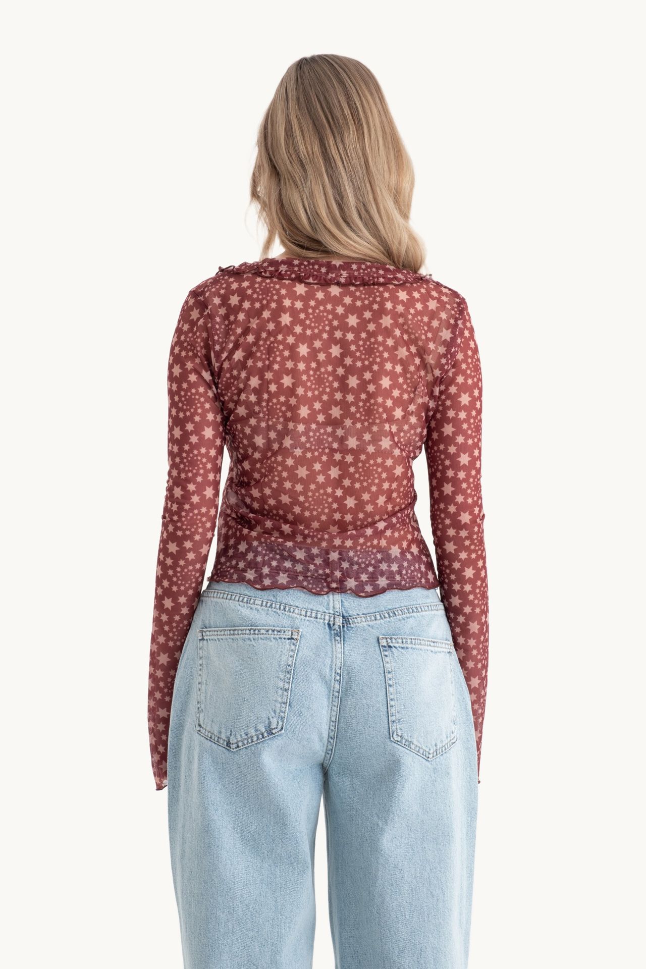 Star Patterned V Neck Sheer Long Sleeve Cropped Top