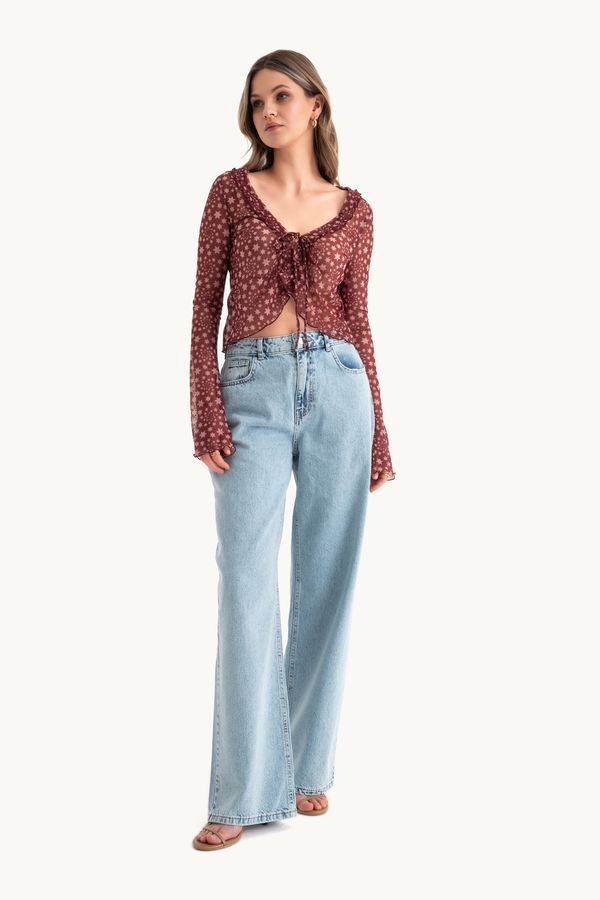 Star Patterned V Neck Sheer Long Sleeve Cropped Top 3