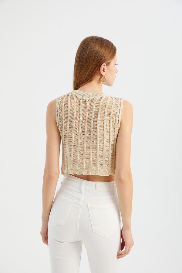 Openwork Crew Neck Knitted Cropped Blouse 4