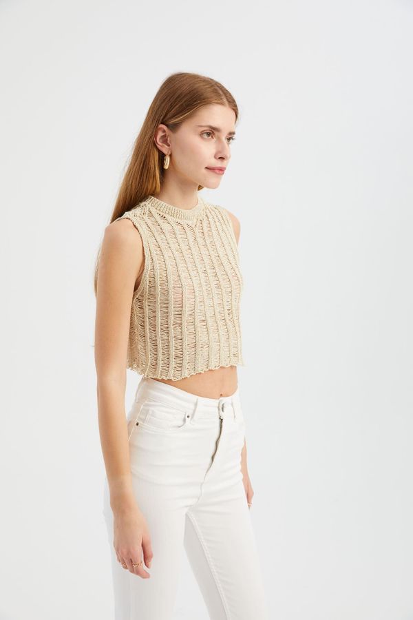 Openwork Crew Neck Knitted Cropped Blouse 3
