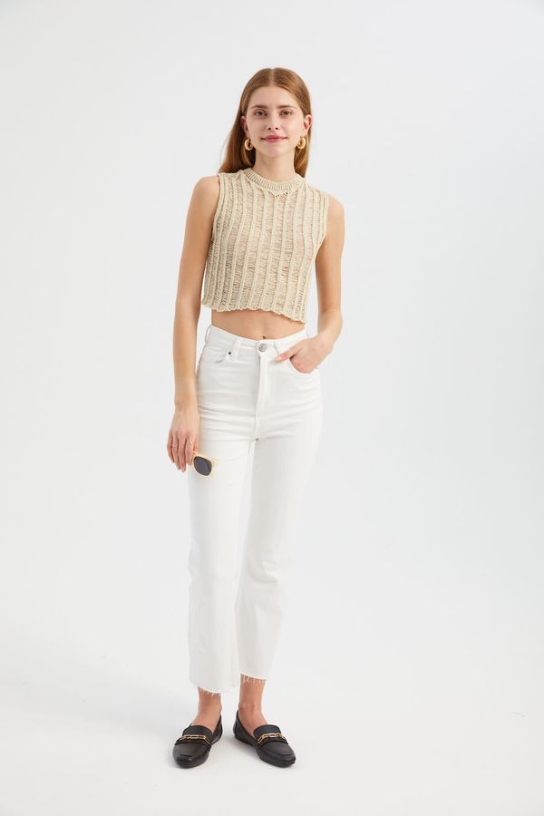 Openwork Crew Neck Knitted Cropped Blouse 2