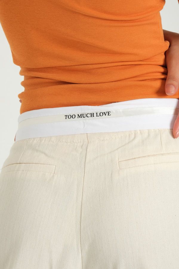 High Waist Pleated Trousers with a Belt Detail 5