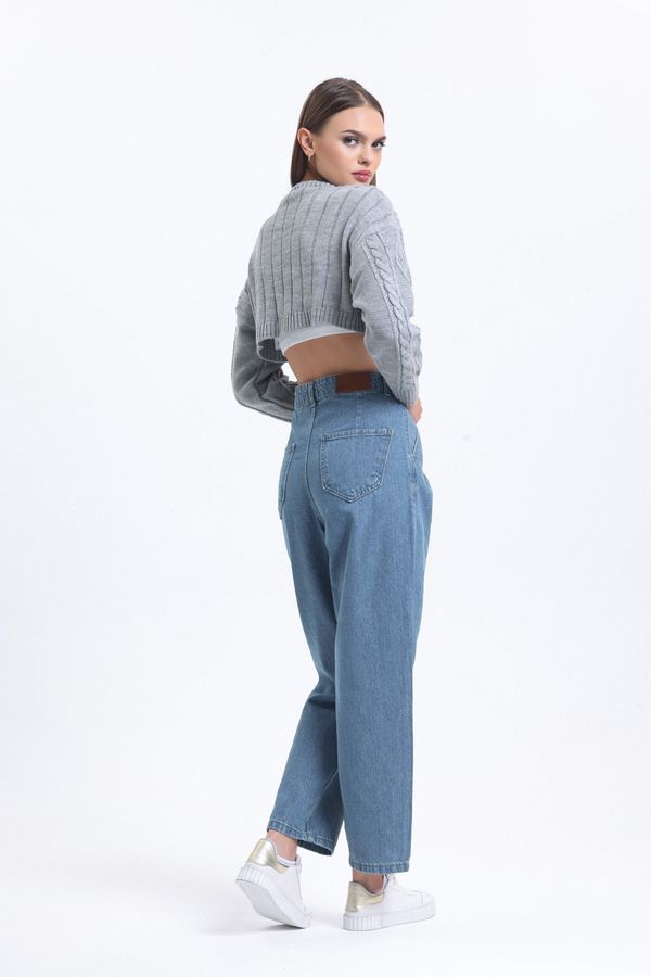 High Waist Pleated Boyfriend Jeans 3