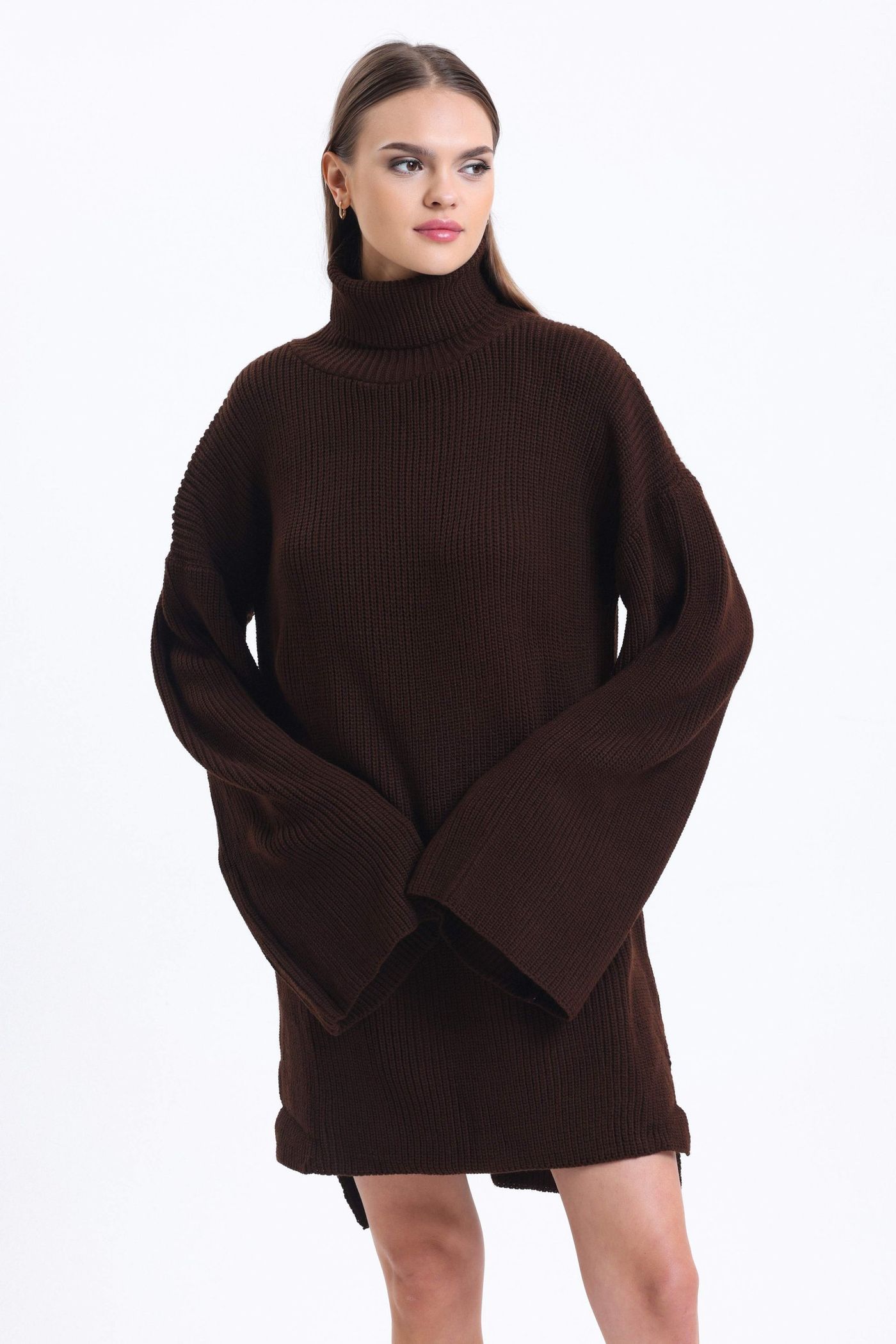 Knitted Turtleneck Long Sleeve Mini Oversized Dress