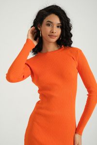 orange-image-2