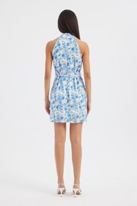 blue-image-3