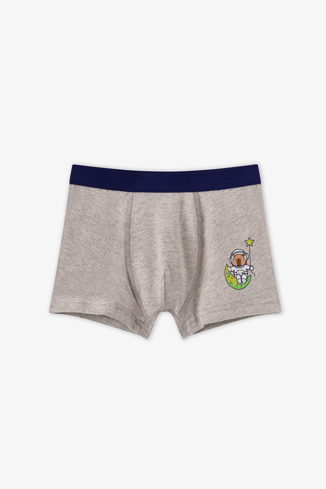 PENTI Boys' Capybaras Space Cotton Boxers 3