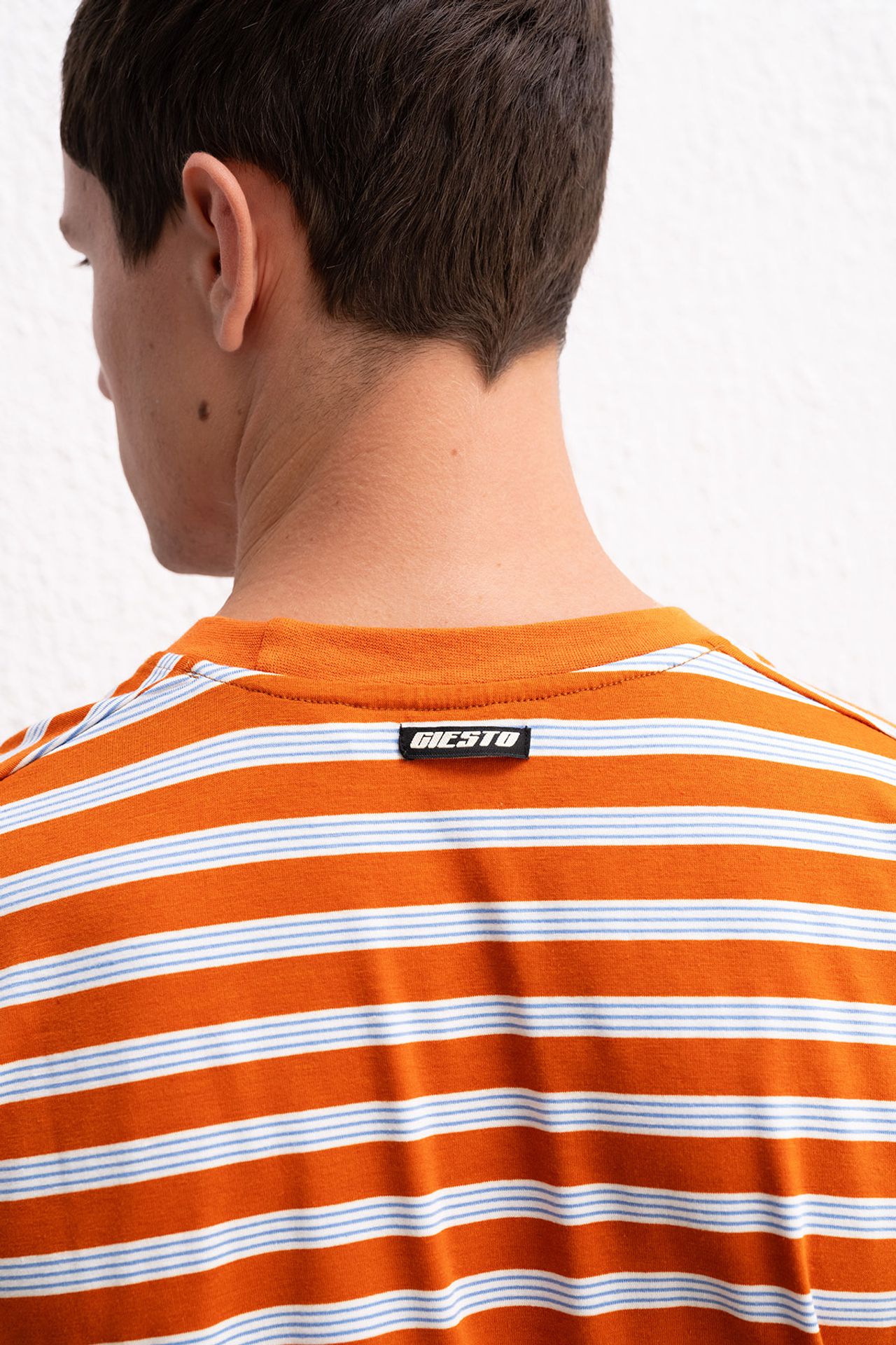 GIESTO Slim Fit Striped Crew Neck T-Shirt 2