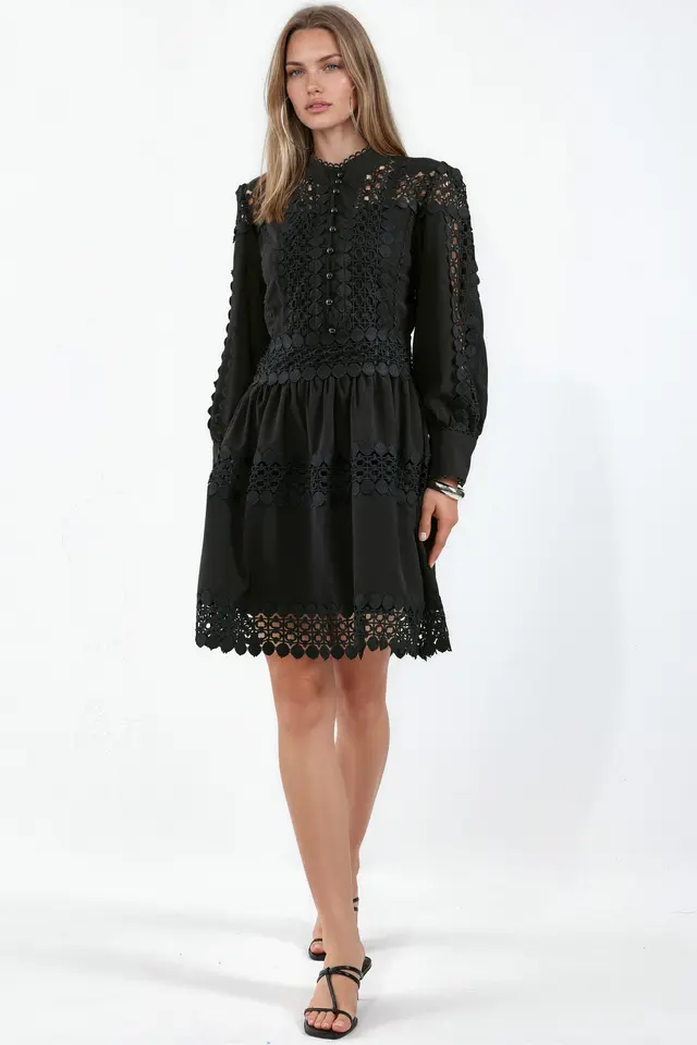 MSN Lace A-Line Mini Dress