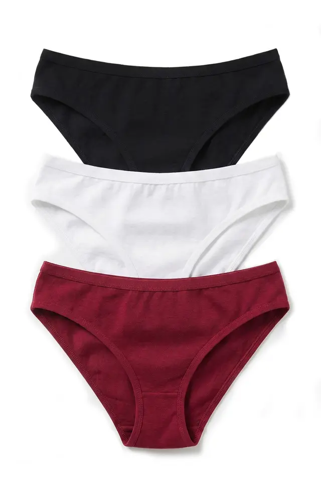 ÖTS Women's Brief Panties