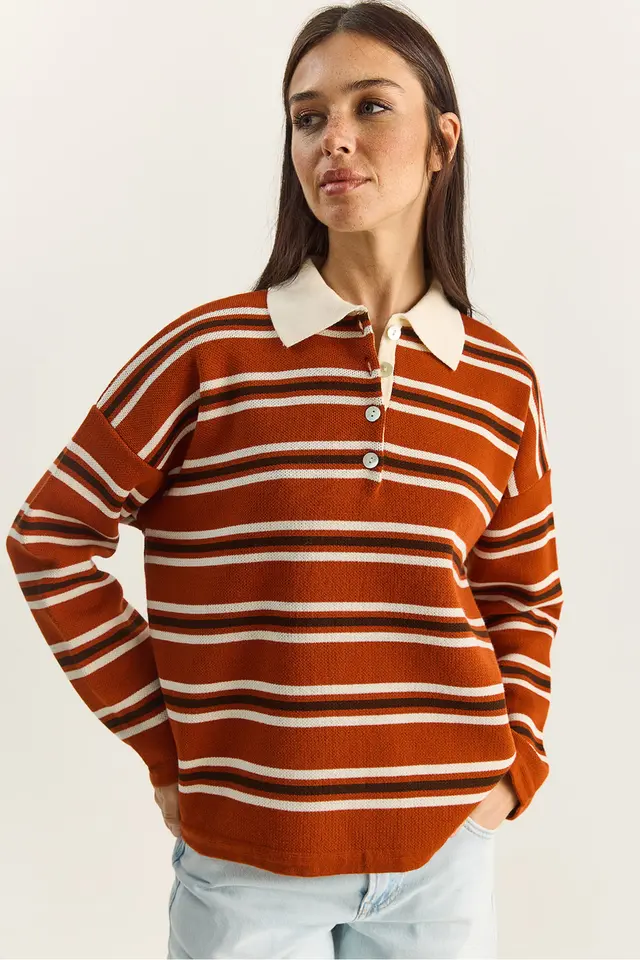 LUCCI Striped Polo Collar Button Sweater