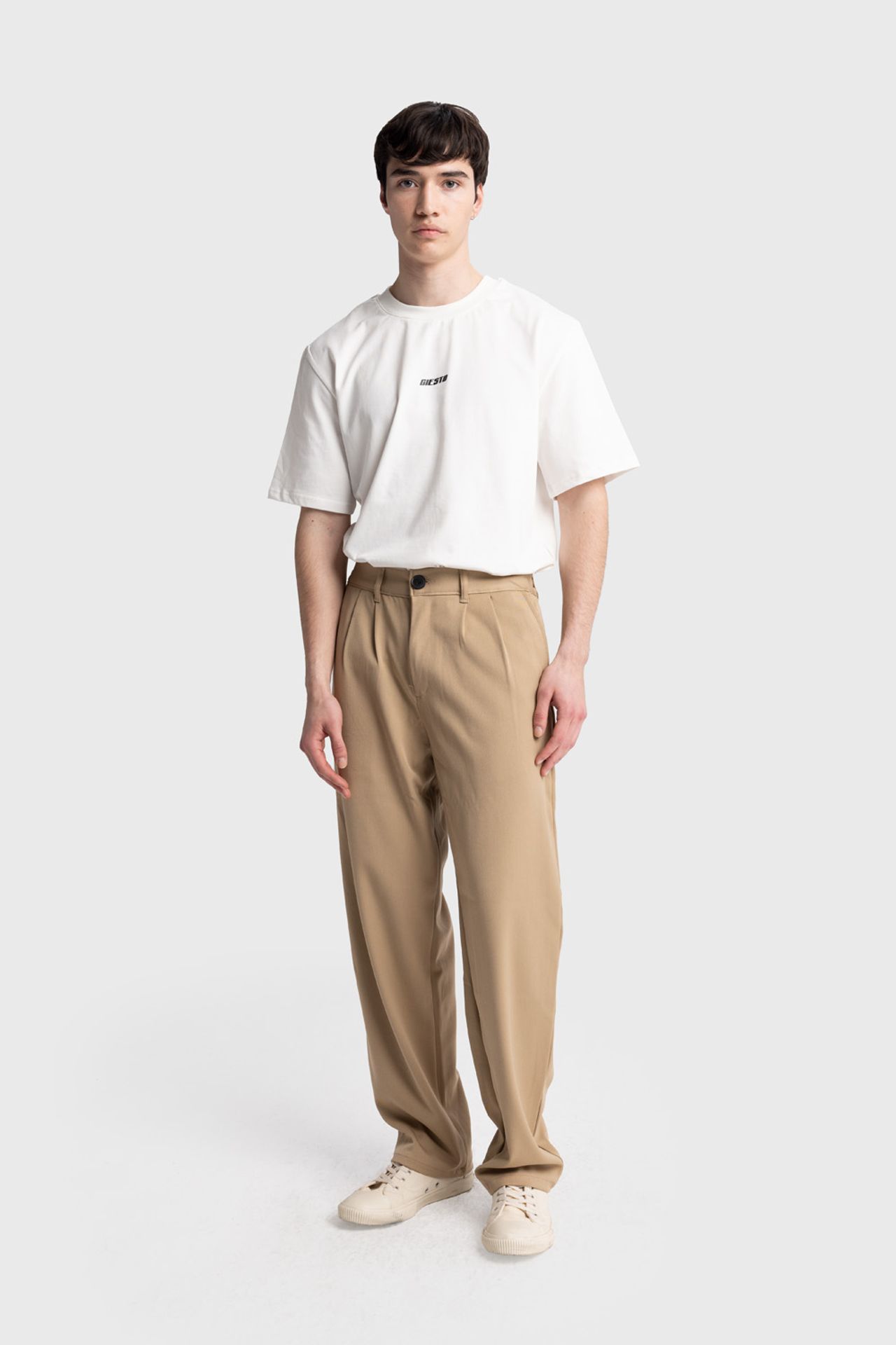 GIESTO Pleated Straight Leg Pants 2