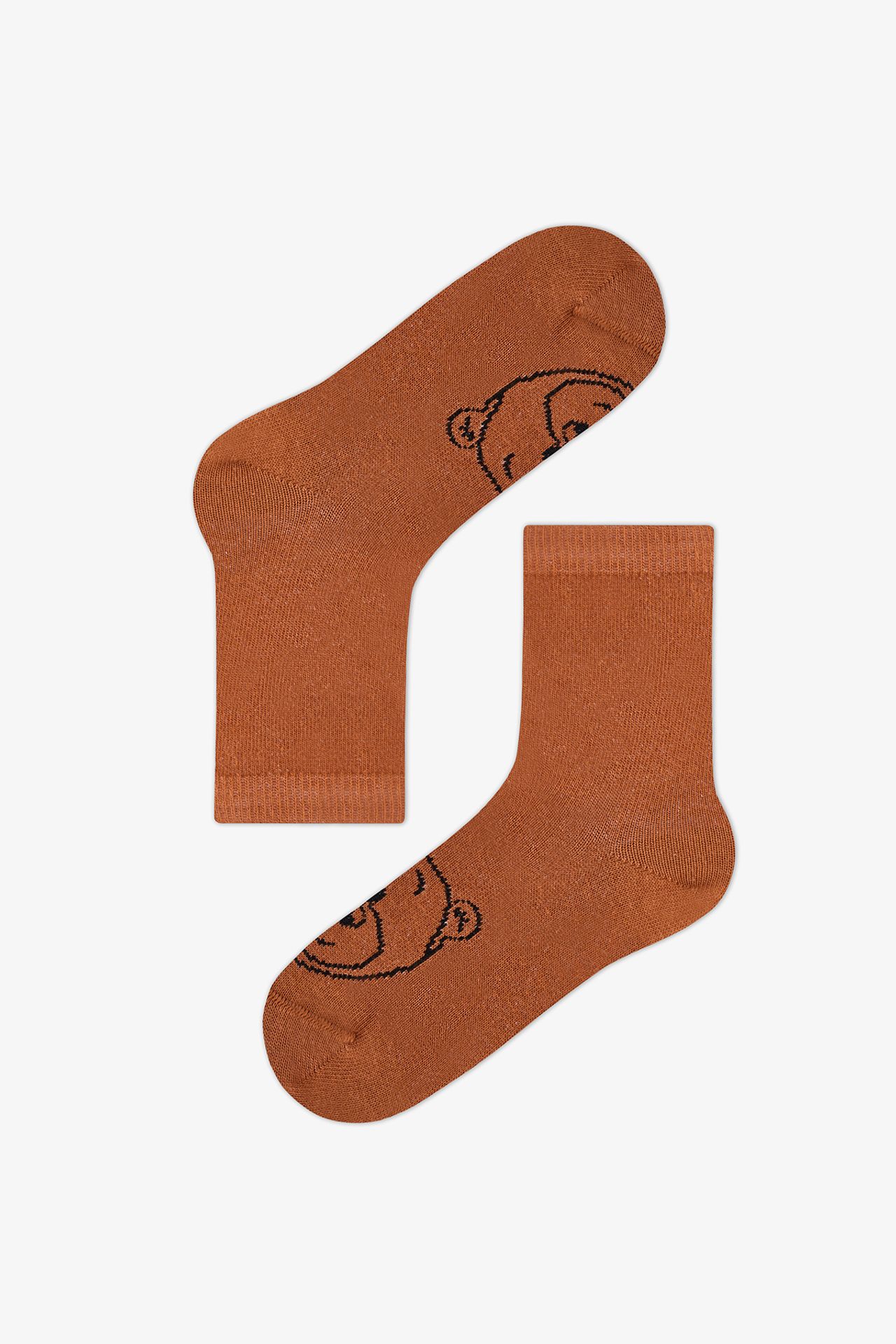 PENTI Boys' Ie Bears Bear Pattern Cotton 2-Pack Crew Socks 2