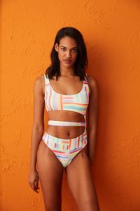 multicolor-image-1