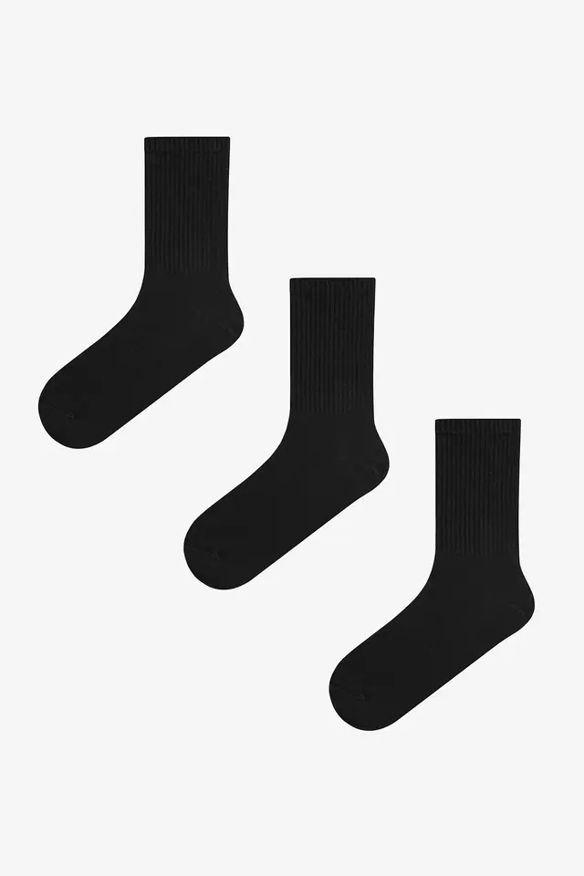 PENTI Basic Tennis Pair Crew Socks
