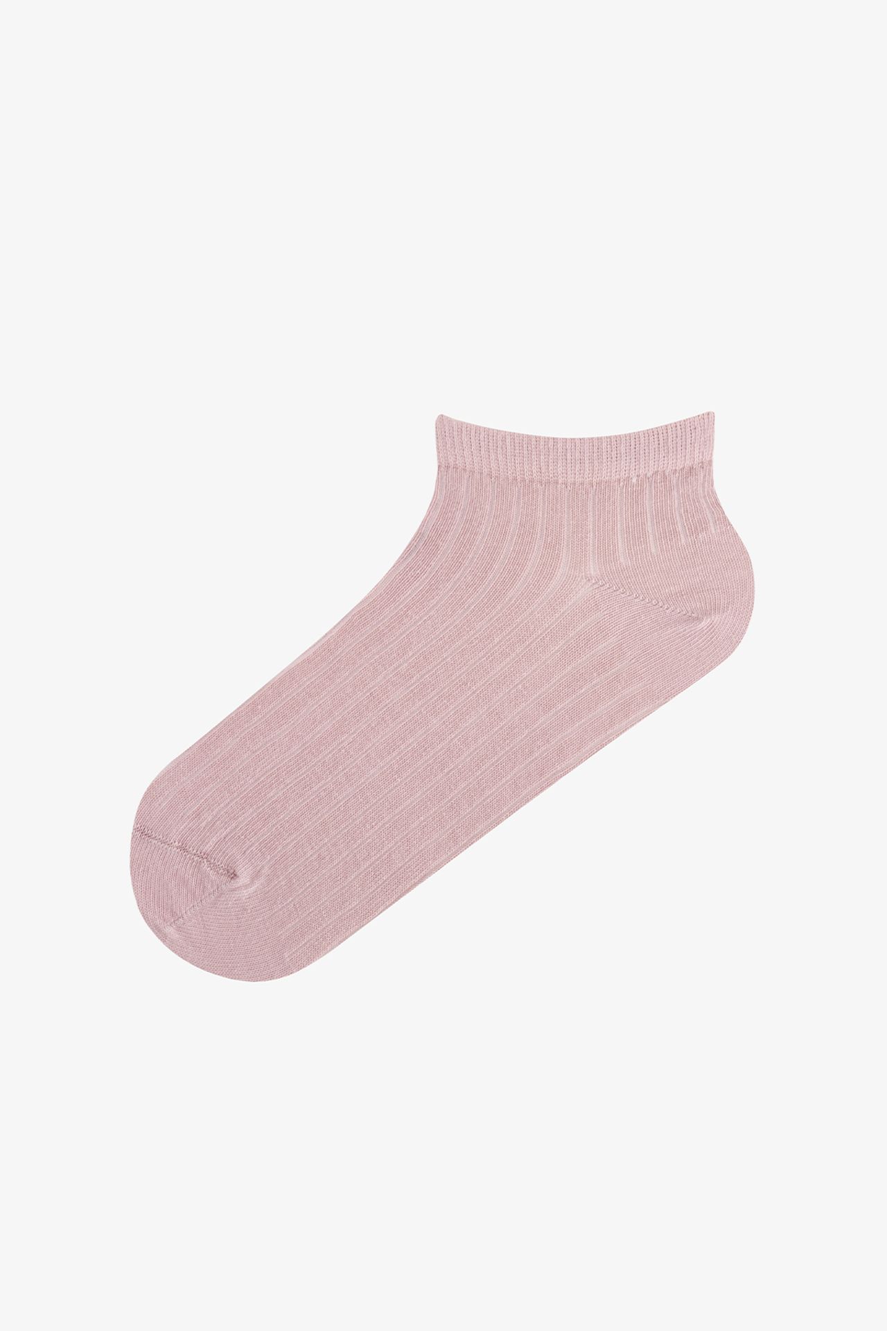 PENTI Earth Ribbed 2-Pack No-Show Socks 4