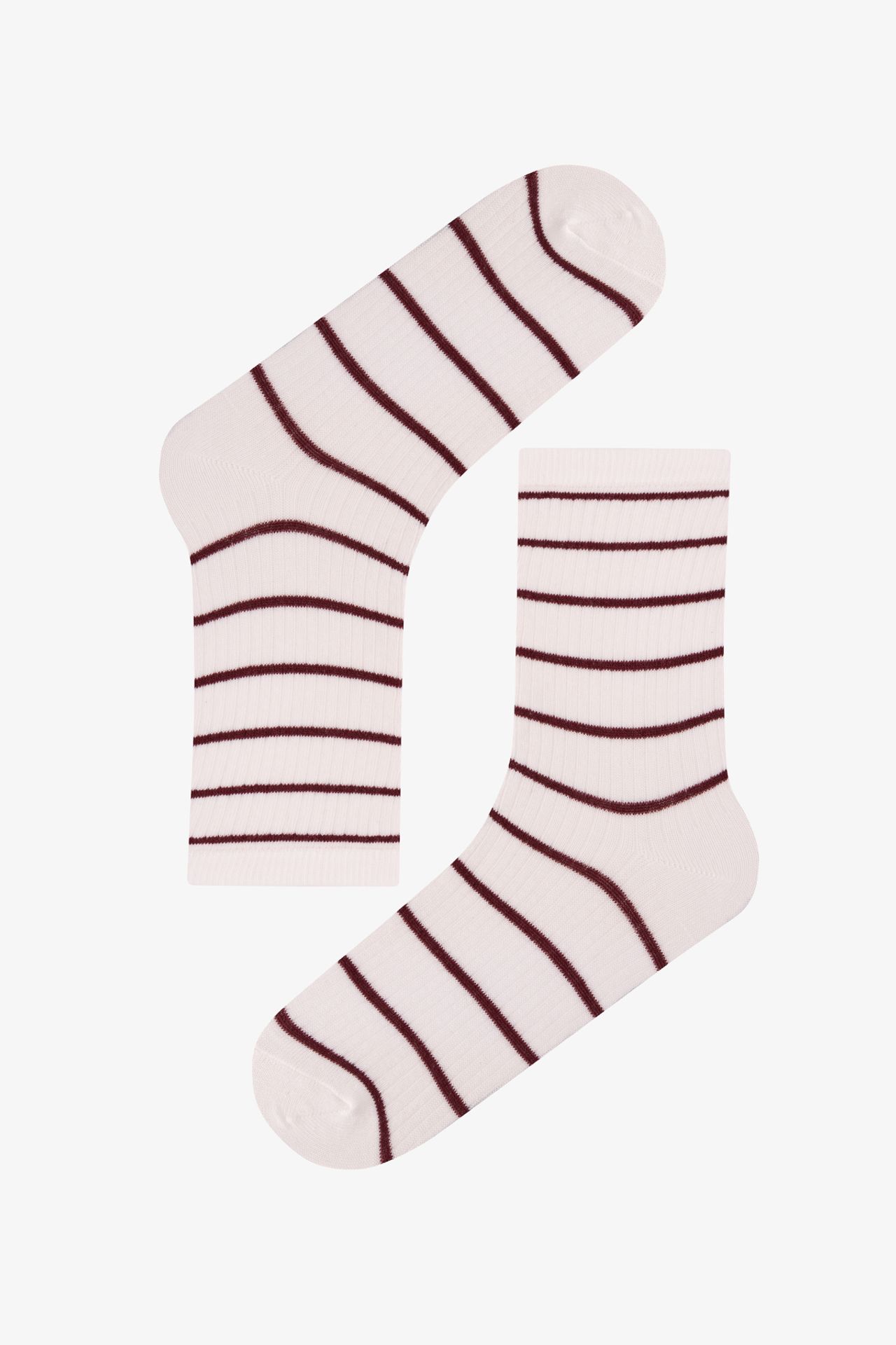 PENTI Star Moon Cotton Pair Crew Socks 2