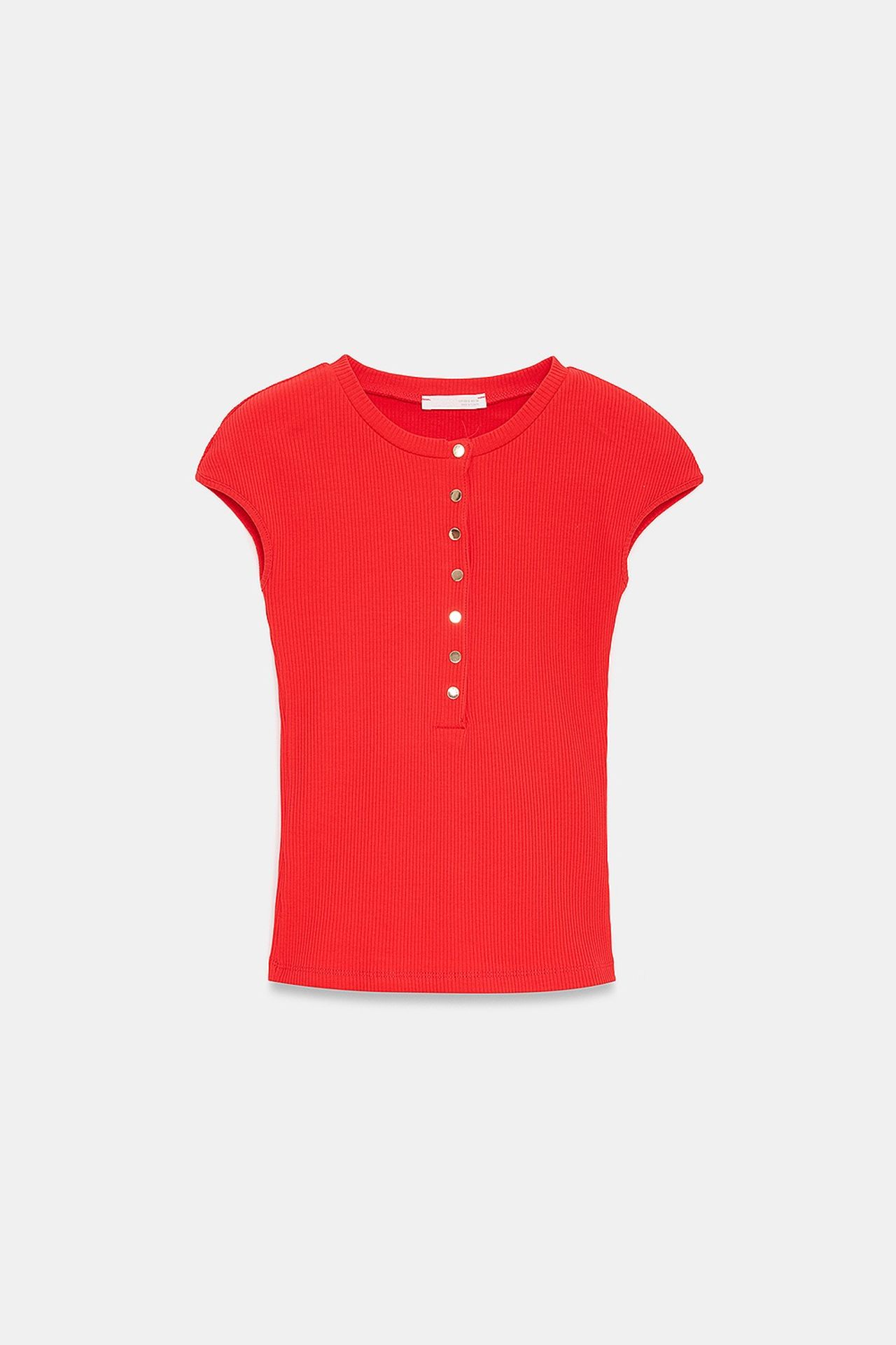 DILVIN Fitted Cotton Jersey Crew Neck T-Shirt 5