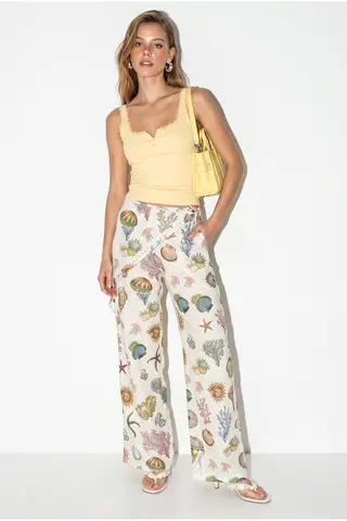 Multicolour