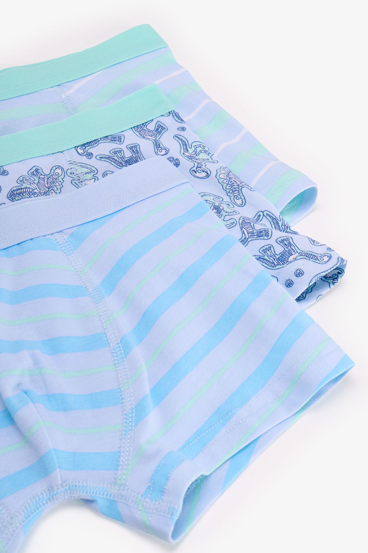PENTI Boys' Dino Bones Striped Boxer 5