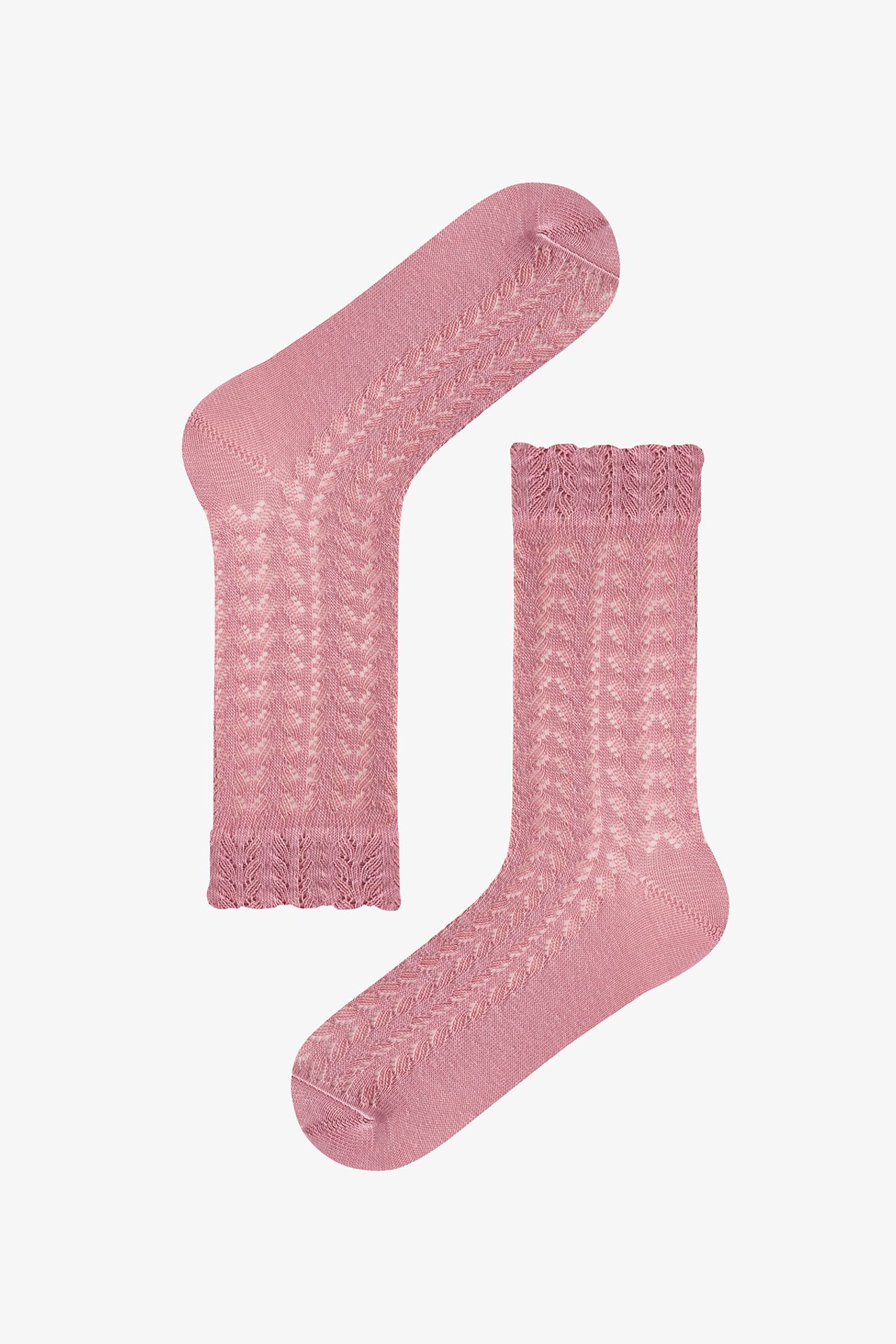 PENTI Silky Colosio Lace Pattern Cotton 2-Pack Crew Socks 2