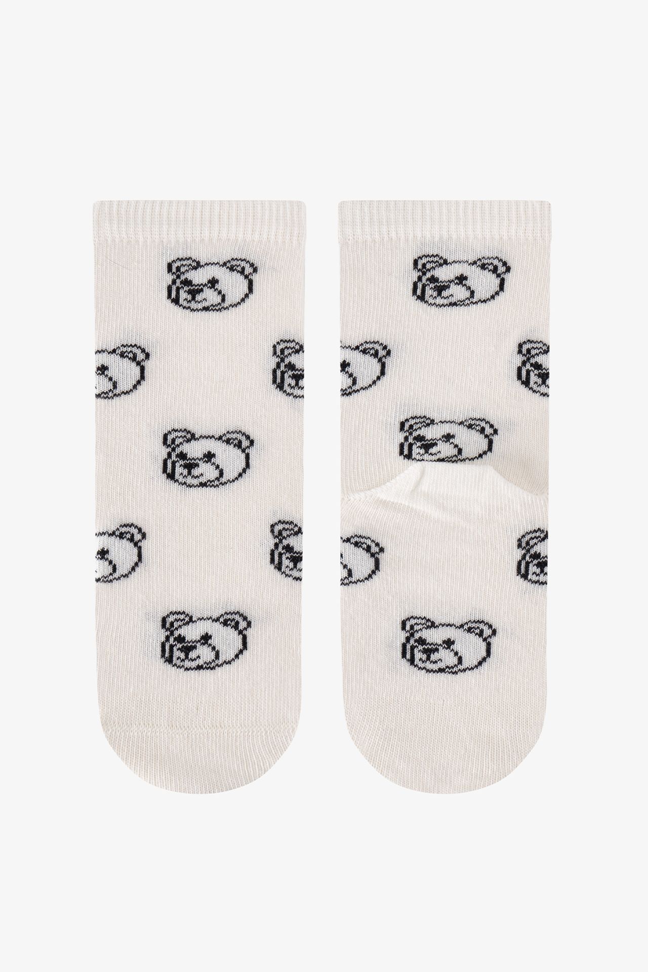 PENTI Boys' Rebel Bears Bear Pattern 2-Pack Crew Socks 3