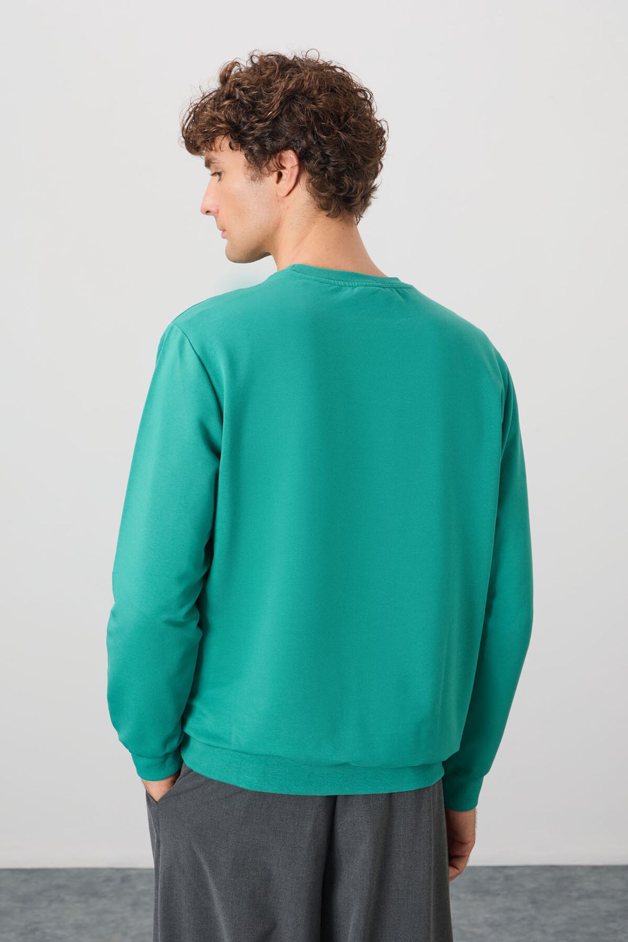 TOMMY Men's Plain Crew Neck Sweatshirt 5