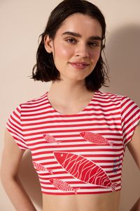 multicolor-image-0