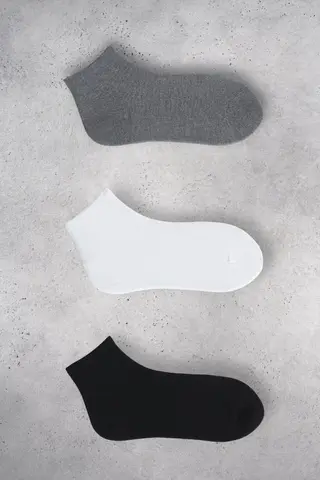 Çok Renkli