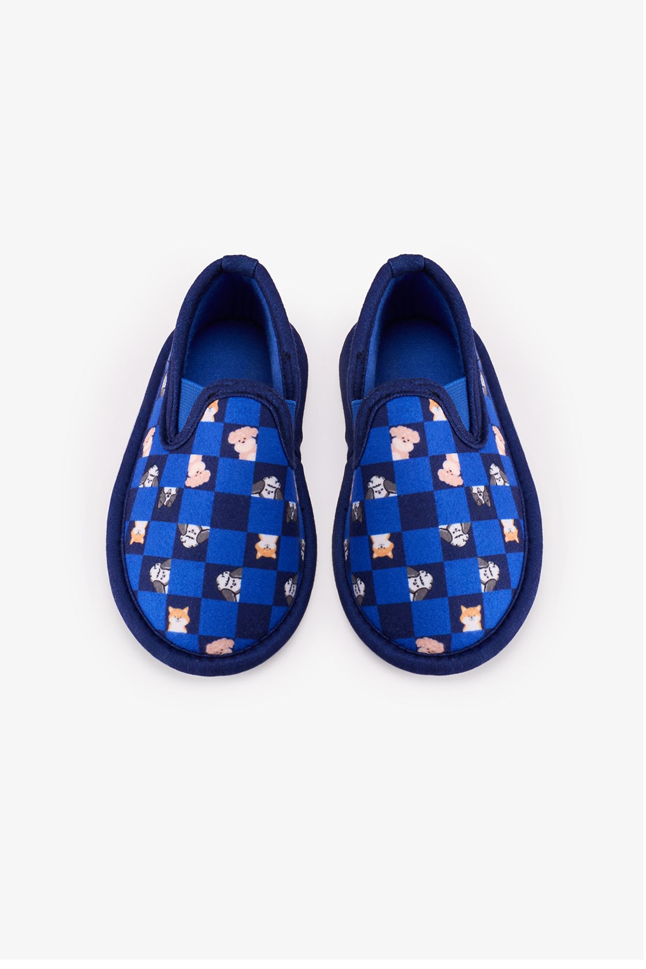 PENTI Boys' The Paw Club Dinosaur Print Textured Slipper Socks 1