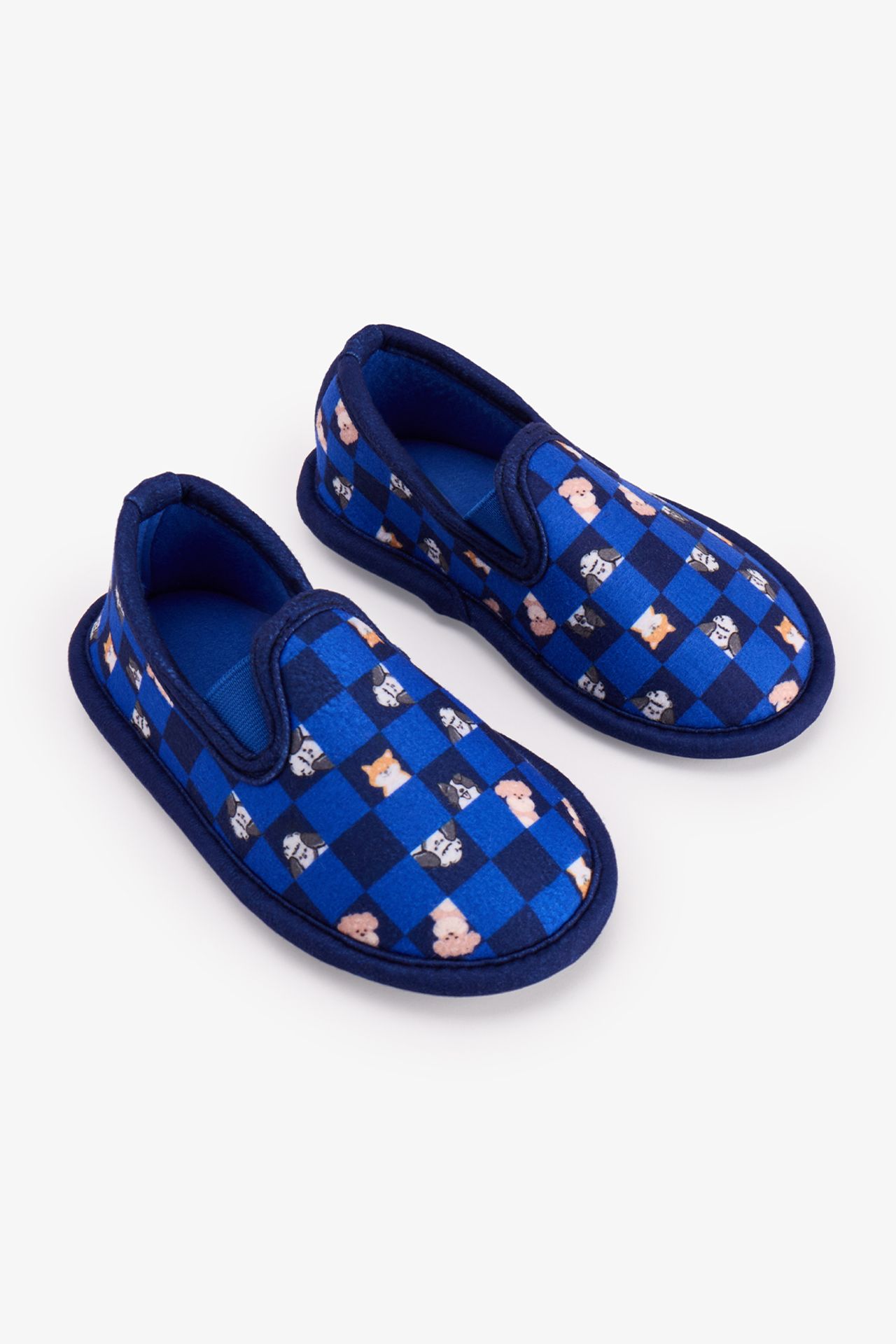 PENTI Boys' The Paw Club Dinosaur Print Textured Slipper Socks 2