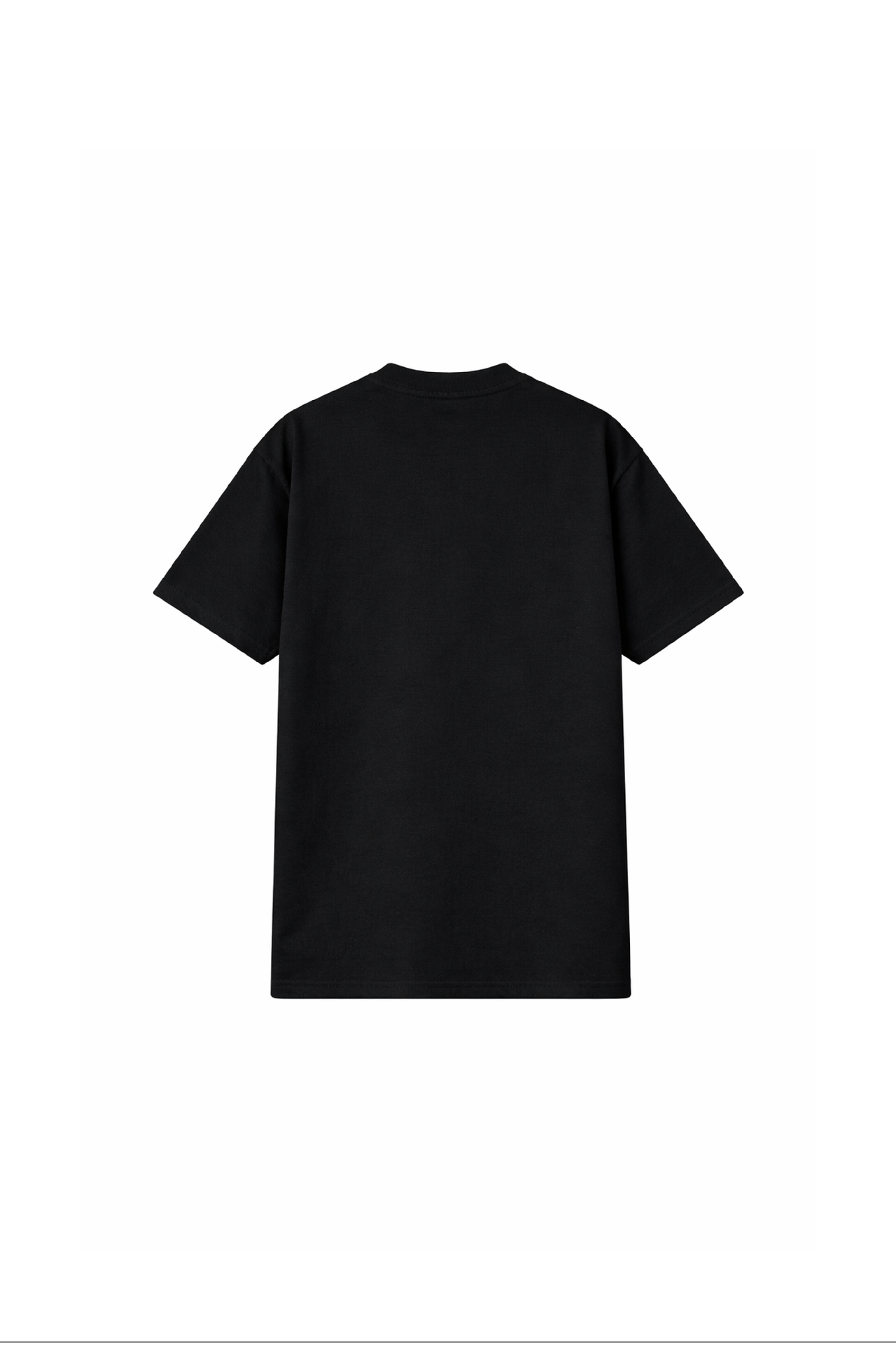 NOMARC Regular Fit Kısa Kollu Tişört 6