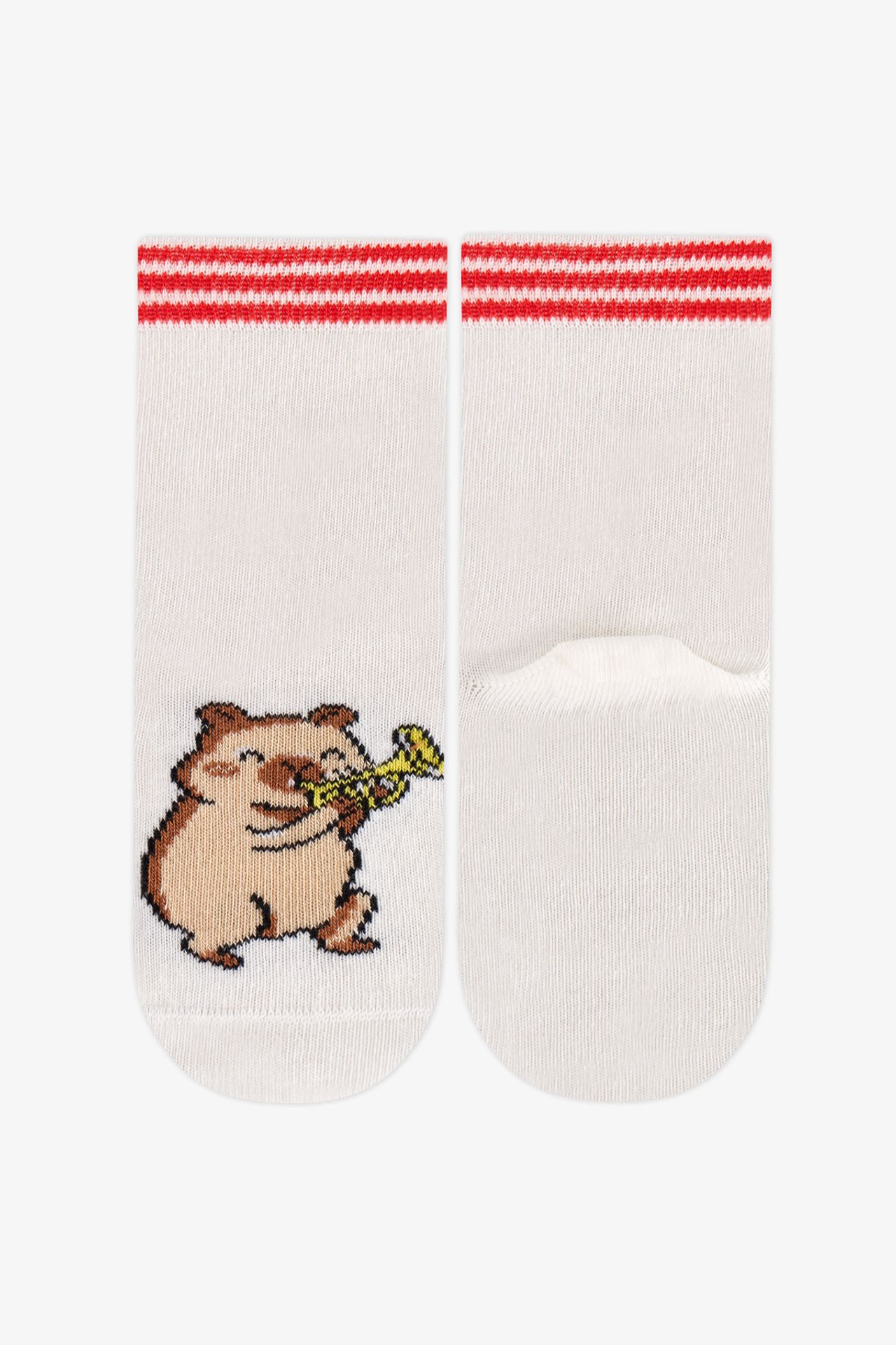 PENTI Boys' Marsmelov Capy-Lam Session Cotton 2-Pack Ankle Socks 3