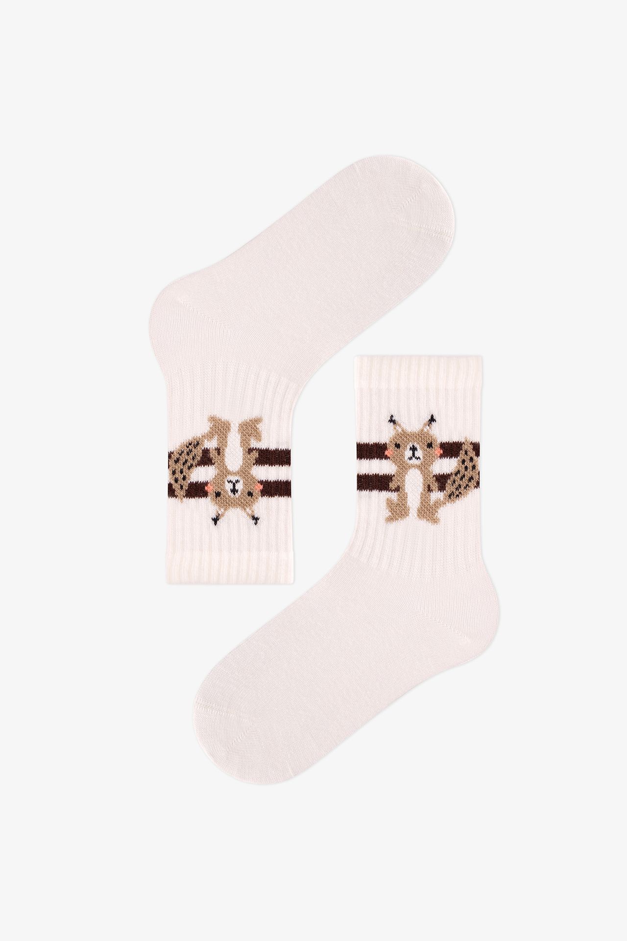 PENTI Boys' Tiny Tails Pair Crew Socks 4