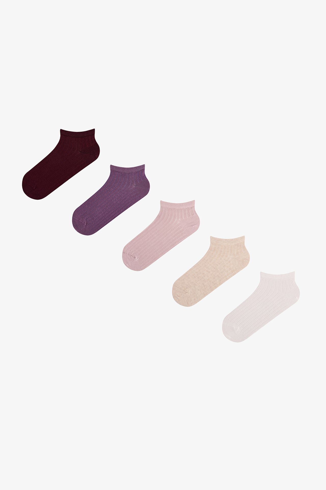 PENTI Earth Ribbed 2-Pack No-Show Socks 1