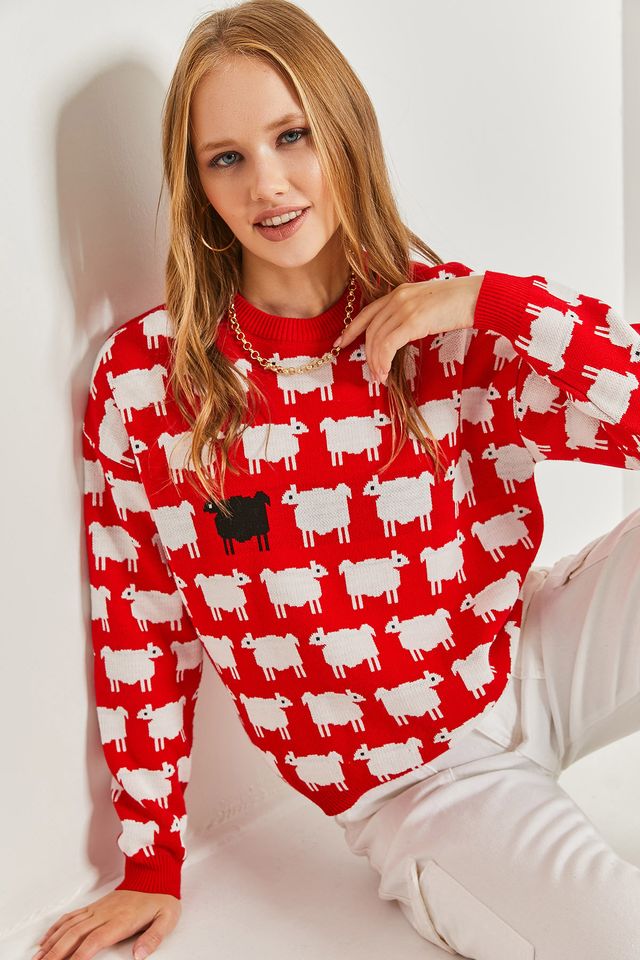 LUCCI Patterned Thick Knit Crew Neck Sweater