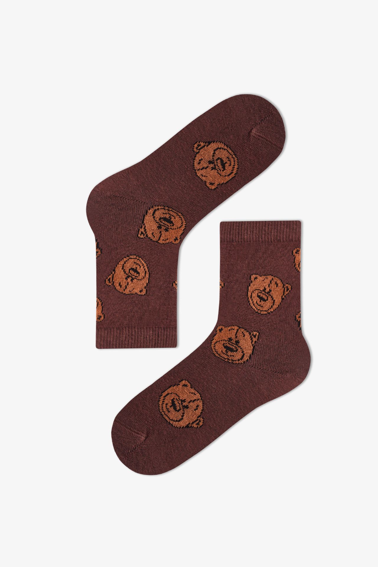 PENTI Boys' Ie Bears Bear Pattern Cotton 2-Pack Crew Socks 5