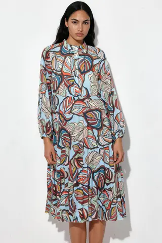 Multicolour
